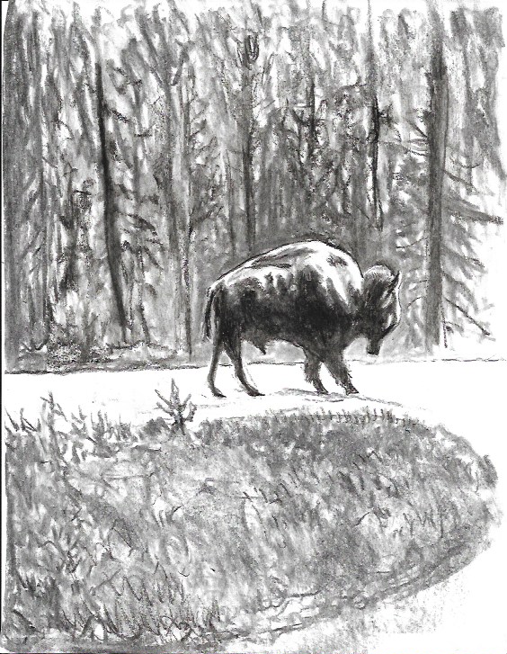 buffalo